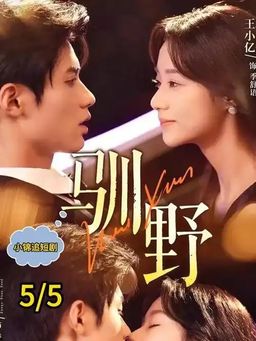 画廊四：剧集光影